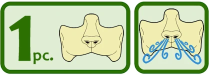 Image of text of 1 pc on the left with icons of the prosthetic, and icon of the prosthetic with air swirls coming out from the nose to demonstrate breathability.