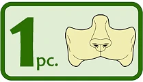 This prosthetic is 1 piece. The image has 1 pc text on the left and an icon of the prosthetic on the right.