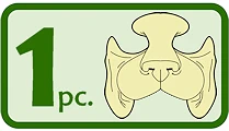 This prosthetic is 1 piece. The image has 1 pc text on the left and an icon of the prosthetic on the right.