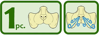 Image of text of 1 pc on the left with icons of the prosthetic, and icon of the prosthetic with air swirls coming out from the nose to demonstrate breathability.