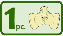 This prosthetic is 1 piece. The image has 1 pc text on the left and an icon of the prosthetic on the right.