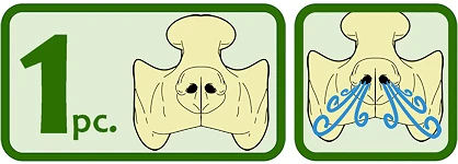Image of text of 1 pc on the left with icons of the prosthetic, and icon of the prosthetic with air swirls coming out from the nose to demonstrate breathability.