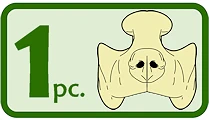 This prosthetic is 1 piece. The image has 1 pc text on the left and an icon of the prosthetic on the right.