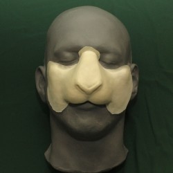 Sheep / Goat Nose