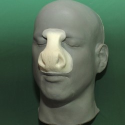 Donkey Satyr Nose