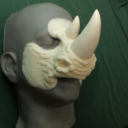 Rhinoceros Nose
