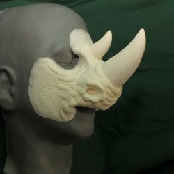 Rhinoceros Nose
