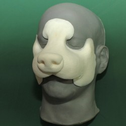 Badger Nose