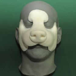 Badger Nose