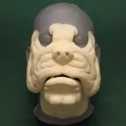 Bulldog Face