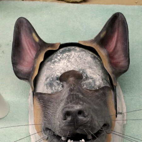 Wolf / Dog Prop Ears