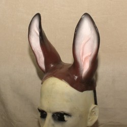 Donkey Prop Ears