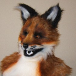 Fox Head Blank