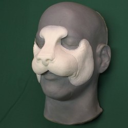 Housecat Nose