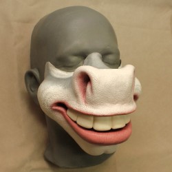 Cartoon Donkey Face