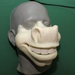 Cartoon Donkey Face