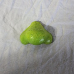 Female Ogre Nose