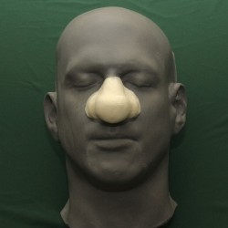 Female Ogre Nose