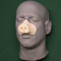 Small Pig Nose