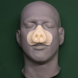 Small Pig Nose