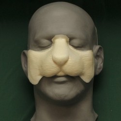 Small Rodent Nose