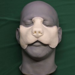 Dog Nose