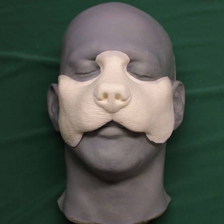 Dog Nose