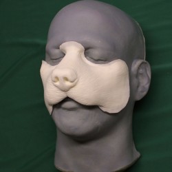 Dog Nose Dog Nose