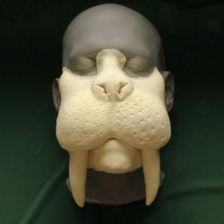 Walrus Muzzle