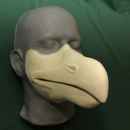 Seagull Beak