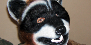 Raccoon Furred Mask
