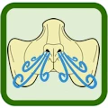 This prosthetic has built-in breathing channels. The image is an icon of the prosthetic with air swirls coming out from the nose to demonstrate breathability.