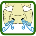 This prosthetic has built-in breathing channels. The image is an icon of the prosthetic with air swirls coming out from the nose to demonstrate breathability.
