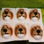 6 foam latex prosthetic Bear Noses painted as a grizzly bears placed on plastic human face casts
