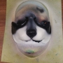 Small Fox Nose foam latex prosthetic placed on a plastic human face cast, painted as a raccoon