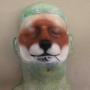 Small Fox Nose foam latex prosthetic placed on a plastic human face cast, painted as a red-brown fox