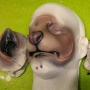 a painted foam latex prosthetic Large Rodent Nose placed on a plastic human face cast
