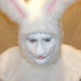 Man wearing foam latex prosthetic nose and makeup to look like an anthropomorphic white rabbit Man wearing foam latex prosthetic nose and makeup to look like an anthropomorphic white rabbit