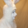 Man wearing foam latex prosthetic nose and makeup to look like an anthropomorphic white rabbit Man wearing foam latex prosthetic nose and makeup to look like an anthropomorphic white rabbit