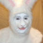 Man wearing foam latex prosthetic nose and makeup to look like an anthropomorphic white rabbit Man wearing foam latex prosthetic nose and makeup to look like an anthropomorphic white rabbit