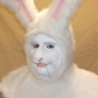 Man wearing foam latex prosthetic nose and makeup to look like an anthropomorphic white rabbit Man wearing foam latex prosthetic nose and makeup to look like an anthropomorphic white rabbit