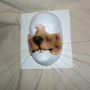 a painted foam latex prosthetic Small Rat Nose placed on a plastic human face cast