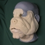 Slush cast latex prosthetic Bulldog Face placed on a plastic human face cast