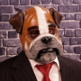 Man wearing foam latex prosthetic face and makeup to look like an anthropomorphic bulldog Man wearing foam latex prosthetic face and makeup to look like an anthropomorphic bulldog