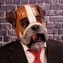 Man wearing foam latex prosthetic face and makeup to look like an anthropomorphic bulldog Man wearing foam latex prosthetic face and makeup to look like an anthropomorphic bulldog