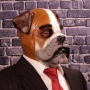 Man wearing foam latex prosthetic face and makeup to look like an anthropomorphic bulldog Man wearing foam latex prosthetic face and makeup to look like an anthropomorphic bulldog