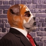 Man wearing foam latex prosthetic face and makeup to look like an anthropomorphic bulldog Man wearing foam latex prosthetic face and makeup to look like an anthropomorphic bulldog