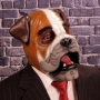 Man wearing foam latex prosthetic face and makeup to look like an anthropomorphic bulldog Man wearing foam latex prosthetic face and makeup to look like an anthropomorphic bulldog