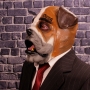 Man wearing foam latex prosthetic face and makeup to look like an anthropomorphic bulldog Man wearing foam latex prosthetic face and makeup to look like an anthropomorphic bulldog