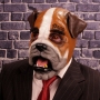 Man wearing foam latex prosthetic face and makeup to look like an anthropomorphic bulldog Man wearing foam latex prosthetic face and makeup to look like an anthropomorphic bulldog